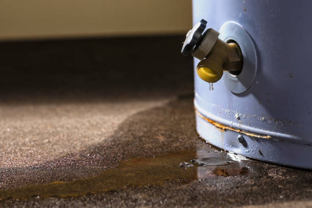 Sewage cleanup and water damage restoration in KY