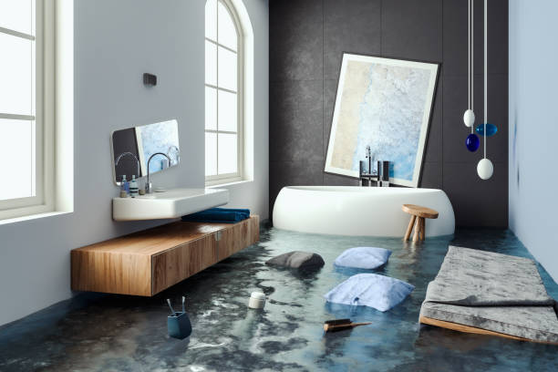 Best Mold removal after water damage  in Elizabethtown, KY