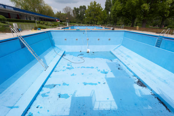 Best Flood damage cleanup  in Elizabethtown, KY
